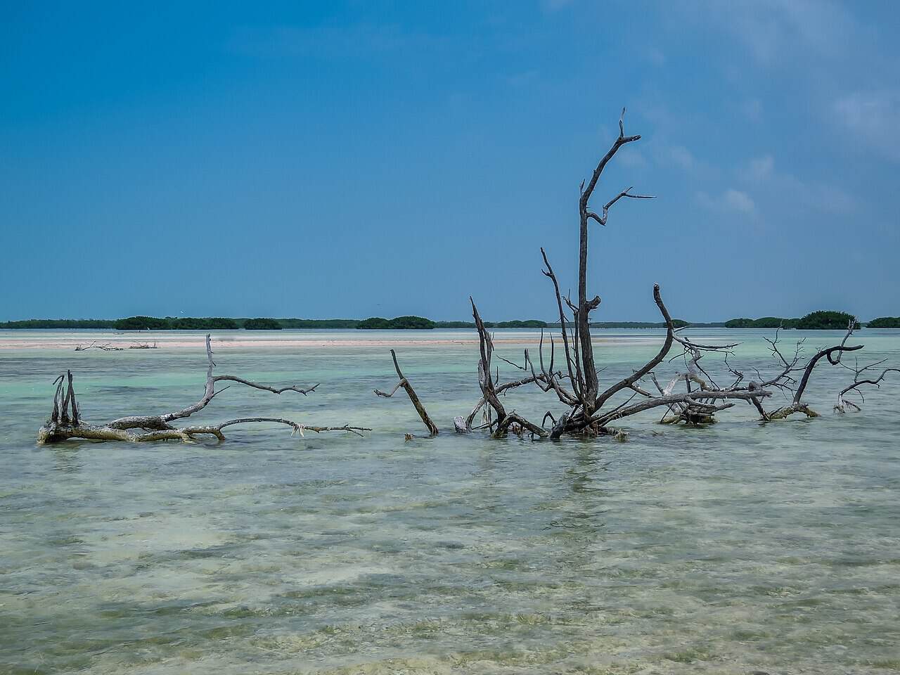 Shallow turquoise water at Holbox island, Mexico