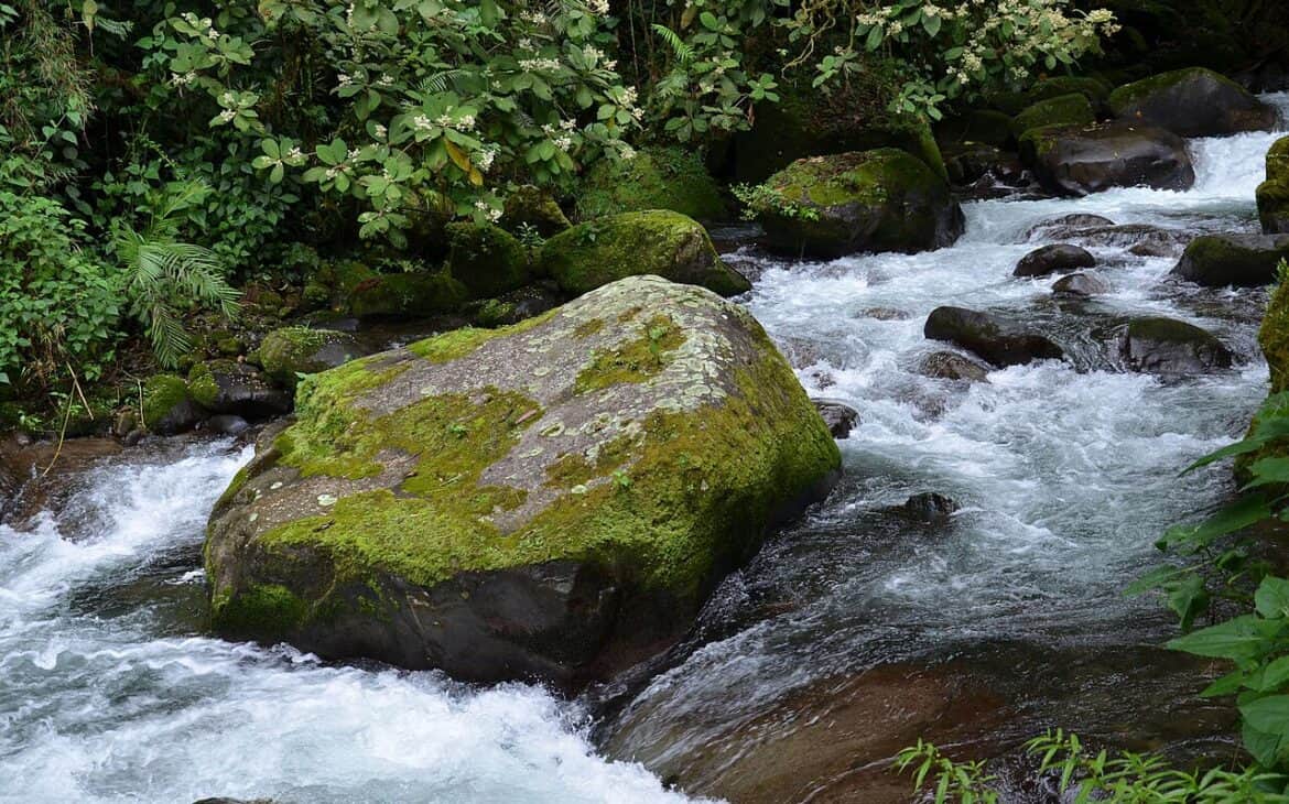 The bright blue water of Rio Celeste in Tenorio Volcano National Park